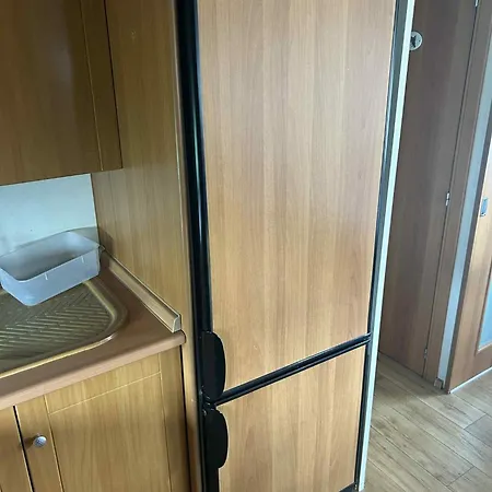 Des Mouettes 6 Kemp *